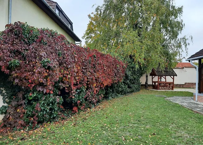 Livia Apartament Héviz